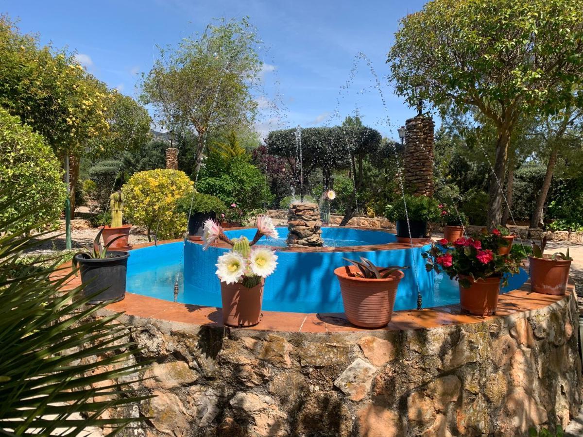 Torcales Del Lobo Apartamentos Rurales Pozo Alcón Εξωτερικό φωτογραφία