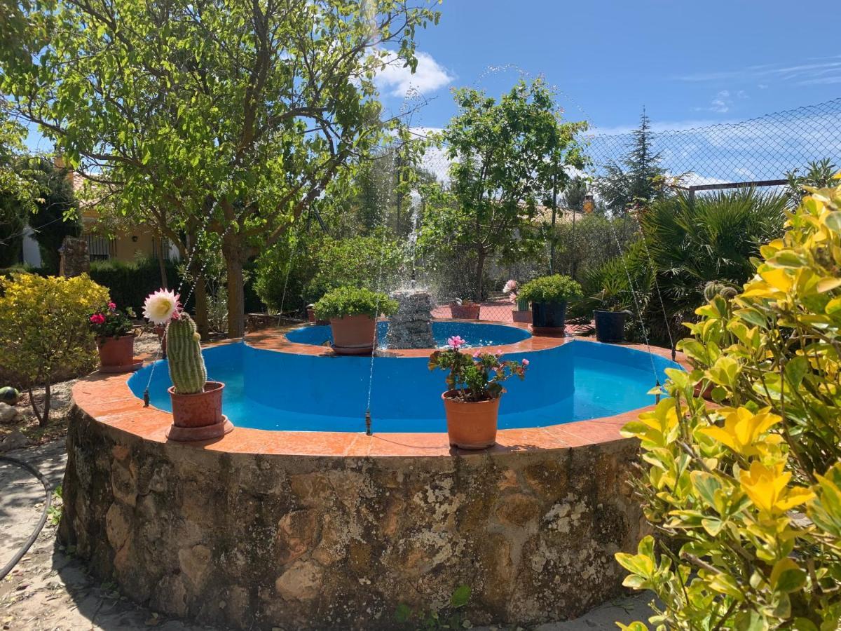 Torcales Del Lobo Apartamentos Rurales Pozo Alcón Εξωτερικό φωτογραφία