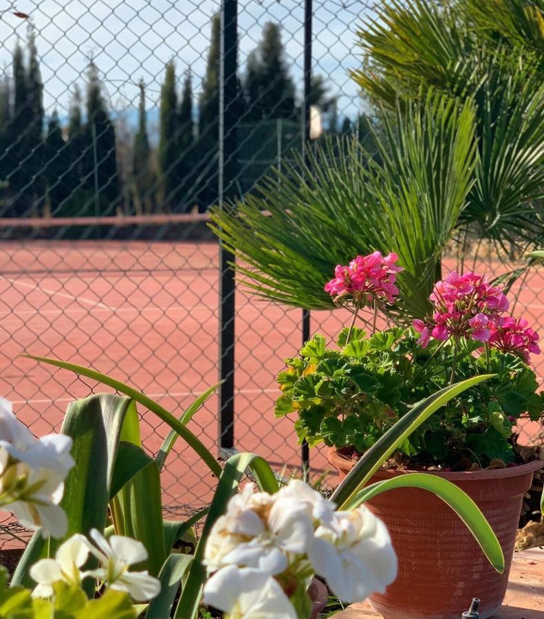 Torcales Del Lobo Apartamentos Rurales Pozo Alcón Εξωτερικό φωτογραφία